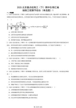 2025北京重点校高三（下）期中生物汇编：细胞工程章节综合（单选题）1-答案