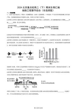 2024北京重点校高二（下）期末生物汇编：细胞工程章节综合（非选择题）-答案