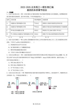2023-2025北京高三一模生物汇编：基因的本质章节综合-答案