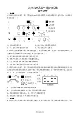2023北京高三一模生物汇编：伴性遗传-答案