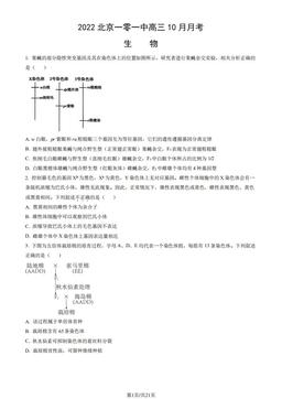2022北京一零一中高三10月月考生物（教师版）-答案
