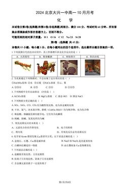 2024北京大兴一中高一10月月考化学（教师版）-答案