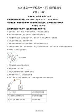 2025北京十一学校高一（下）四学段段考化学（IIIA）（教师版）-答案