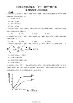 2024北京重点校高一（下）期中生物汇编：基因指导蛋白质的合成-答案