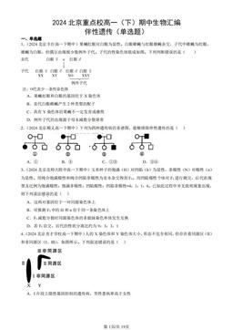 2024北京重点校高一（下）期中生物汇编：伴性遗传（单选题）-答案