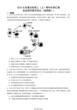 2023北京重点校高二（上）期中生物汇编：免疫调节章节综合（选择题）1-答案