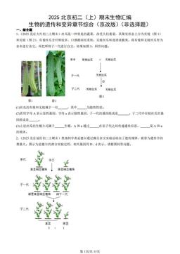 2025北京初二（上）期末生物汇编：生物的遗传和变异章节综合（京改版）（非选择题）-答案