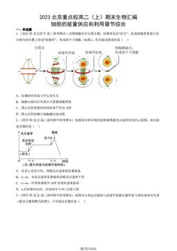 2023北京重点校高二（上）期末生物汇编：细胞的能量供应和利用章节综合-答案