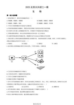 2023北京大兴初二一模生物（教师版）-答案