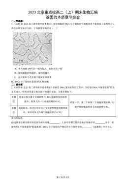 2023北京重点校高二（上）期末生物汇编：基因的本质章节综合-答案