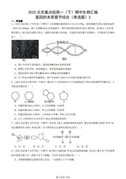 2025北京重点校高一（下）期中生物汇编：基因的本质章节综合（单选题）2-答案