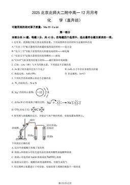 2025北京北师大二附中高一12月月考化学（直升班）（教师版）-答案
