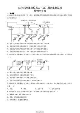 2023北京重点校高二（上）期末生物汇编：植物生长素-答案