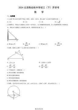 2024北京陈经纶中学初三（下）开学考数学（教师版）-答案