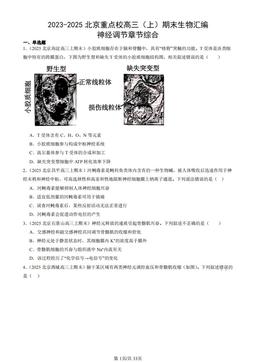 2023-2025北京重点校高三（上）期末生物汇编：神经调节章节综合-答案