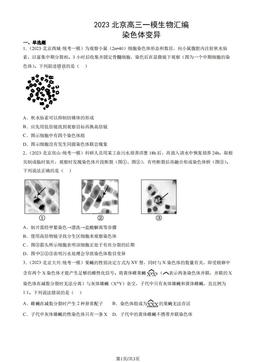 2023北京高三一模生物汇编：染色体变异-答案