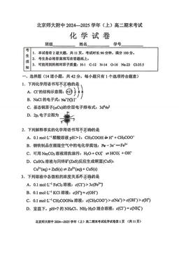 2025北京北师大附中高二（上）期末化学-答案