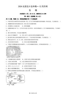 2024北京五十五中高一12月月考生物-试题