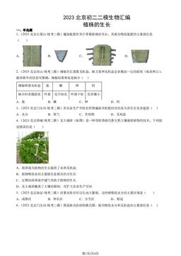 2023北京初二二模生物汇编：植株的生长-答案