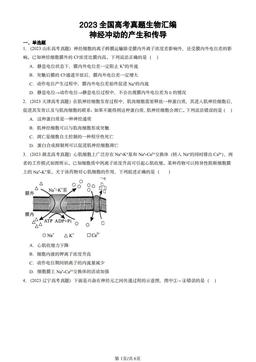 2023全国高考真题生物汇编：神经冲动的产生和传导-答案
