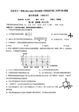 2025北京十一学校高二（上）期中化学（IIB）-试题