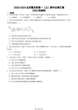 2022-2024北京重点校高一（上）期中生物汇编：DNA的结构-答案