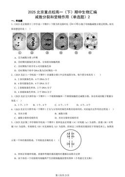 2025北京重点校高一（下）期中生物汇编：减数分裂和受精作用（单选题）2-答案