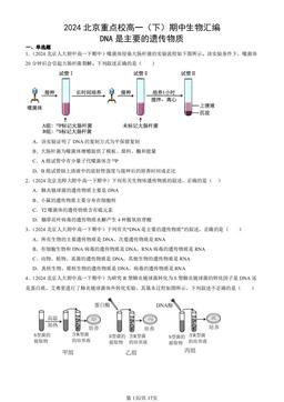 2024北京重点校高一（下）期中生物汇编：DNA是主要的遗传物质-答案