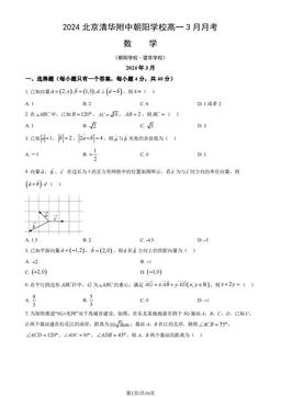 2024北京清华附中朝阳学校高一3月月考数学（教师版）-答案
