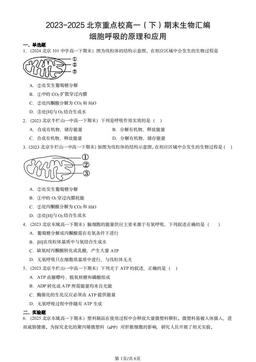 2023-2025北京重点校高一（下）期末生物汇编：细胞呼吸的原理和应用-答案