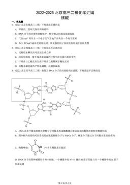 2022-2025北京高三二模化学汇编：核酸-答案