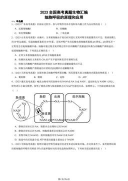 2023全国高考真题生物汇编：细胞呼吸的原理和应用-答案