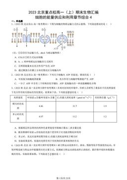 2023北京重点校高一（上）期末生物汇编：细胞的能量供应和利用章节综合4-答案