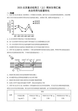 2023北京重点校高三（上）期末生物汇编：光合作用与能量转化-答案