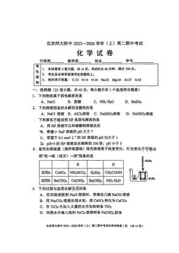 2025北京北师大附中高二（上）期中化学（教师版）-答案