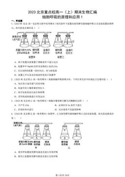 2023北京重点校高一（上）期末生物汇编：细胞呼吸的原理和应用1-答案