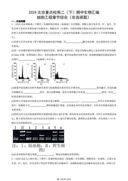 2024北京重点校高二（下）期中生物汇编：细胞工程章节综合（非选择题）-答案