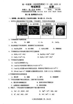 2025北京日坛中学高一（上）期中化学-答案