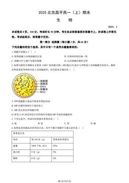 2025北京昌平高一（上）期末生物（教师版）-答案