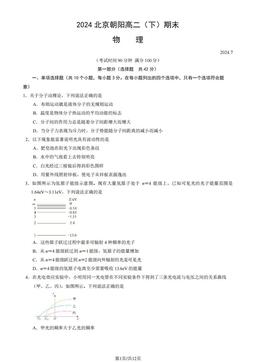 2024北京朝阳高二（下）期末物理（教师版）-答案