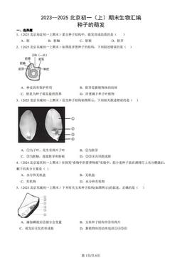2023—2025北京初一（上）期末生物汇编：种子的萌发-答案