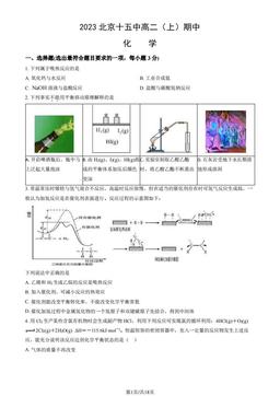 2023北京十五中高二（上）期中化学（教师版）-答案
