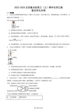 2022-2024北京重点校高三（上）期中化学汇编：氯及其化合物-答案
