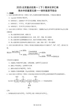 2025北京重点校高一（下）期末化学汇编：海水中的重要元素——钠和氯章节综合-答案