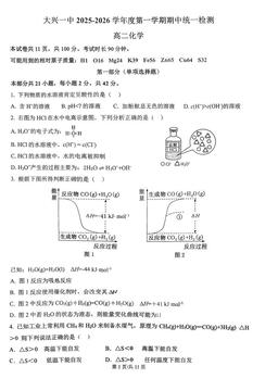 2025北京大兴一中高二（上）期中化学-答案