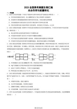 2023全国高考真题生物汇编：光合作用与能量转化-答案