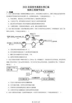 2025全国高考真题生物汇编：细胞工程章节综合-答案