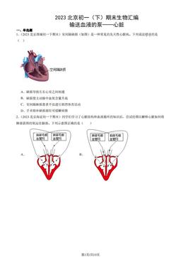 2023北京初一（下）期末生物汇编：输送血液的泵──心脏-答案