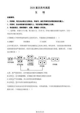 2025重庆高考真题生物（教师版）-答案