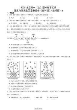 2025北京高一（上）期末化学汇编：元素与物质世界章节综合（鲁科版）（选择题）3-答案